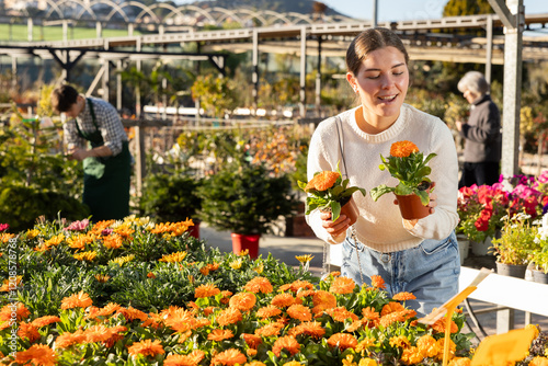 Young woman in sunny weather chooses pots with a calendula in a garden hypermarket. Customer at a seasonal sale of flowers for planting and gardening