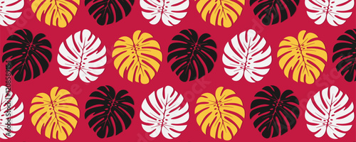 collection of colorful tropical seamless pattern. nature floral abstract background with monstera leaves.