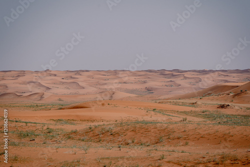 Landscape of the Arabian Desert and Dunes in Saudi Arabia. 