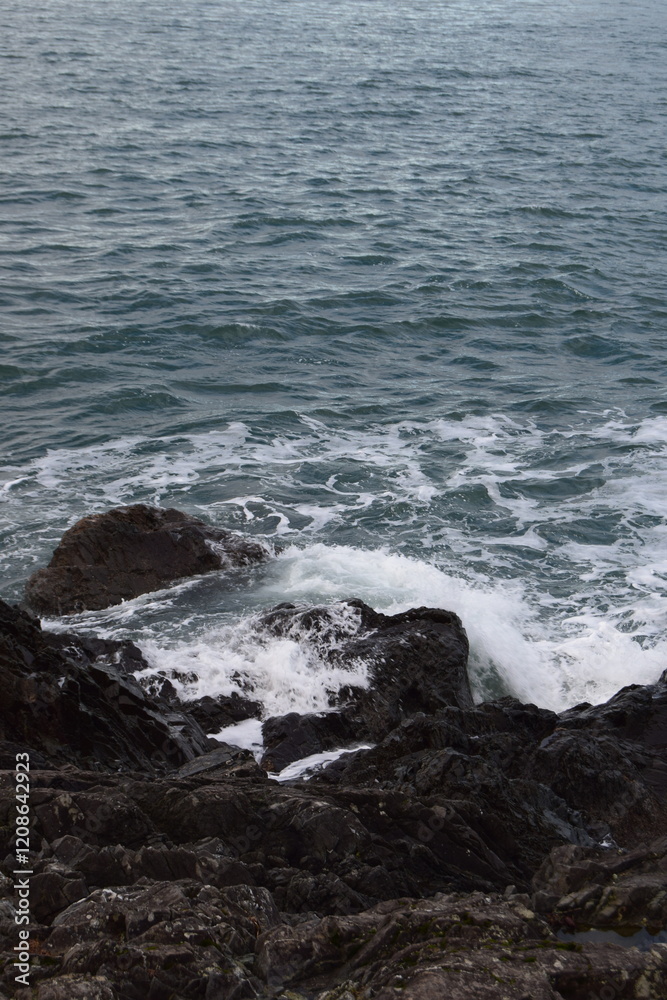 Fototapeta premium Majestic Pacific Northwest Coastline