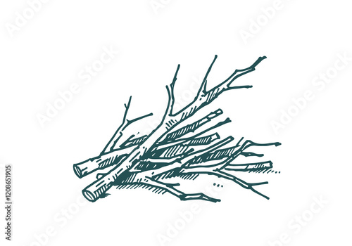 Tree Branch Waste Hand Drawn Sketch Illustration Vector Isolated