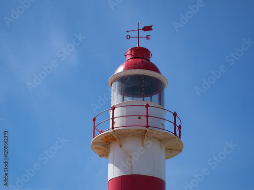 Isla Magdalena, Chile