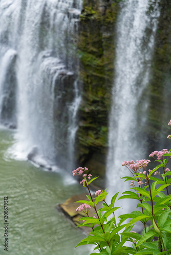 Obraz na płótnie Joe Pye flowers with beautiful waterfall w salonie