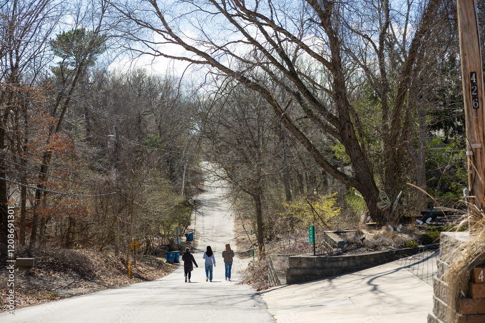 Three women walk down a hilly road surrounded by budding trees Three women walk down a hilly road surrounded by budding trees