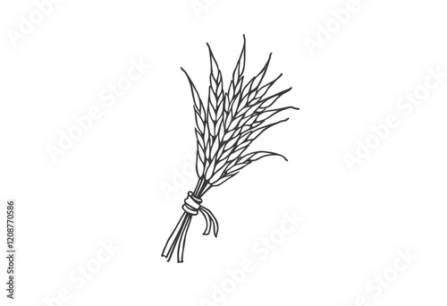 Simple Line Drawing of Rice Ears, Black and White Vector, High Contrast, Twine Tied, Detailed Grains, Minimalist Botanical Art, Realistic Style, No Background.

