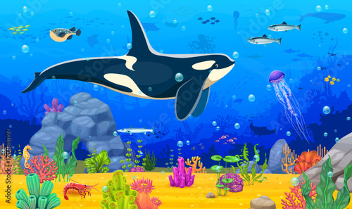 Cartoon underwater landscape game background with killer whale animal character and bottom seaweeds. Vector seafloor location level with sea animals like a orca, fish shoals and jellyfish, swimming