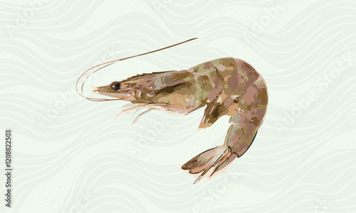 Vector illustration of fresh shrimps in watercolor style. Seafood.