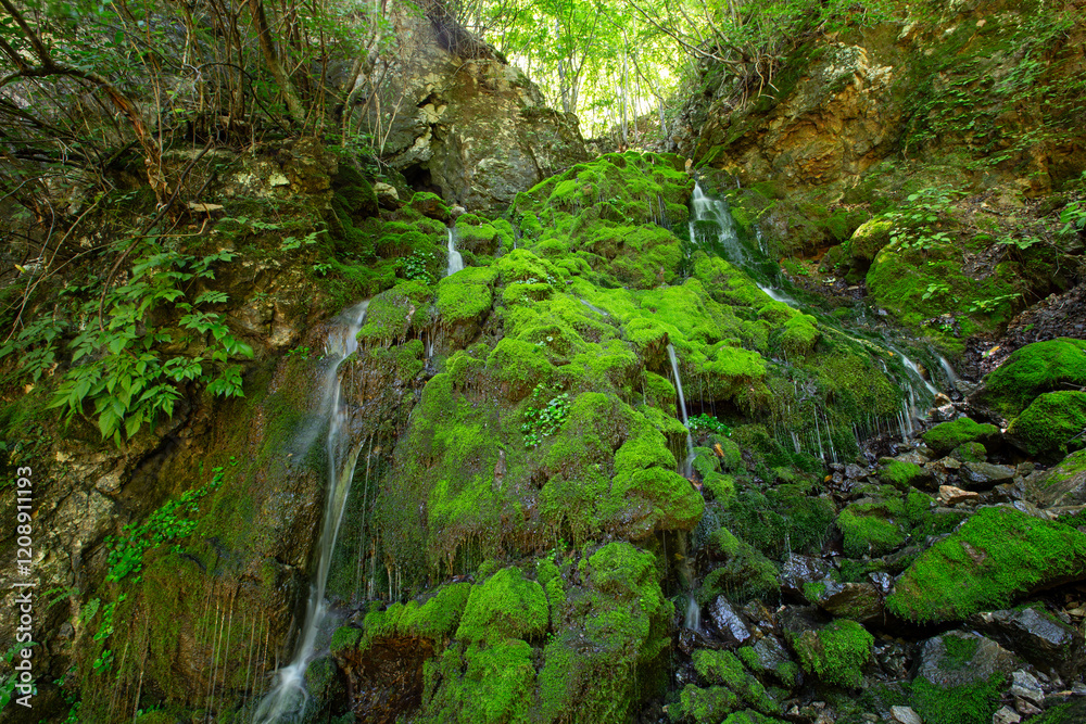 a waterfall full of green moss a waterfall full of green moss