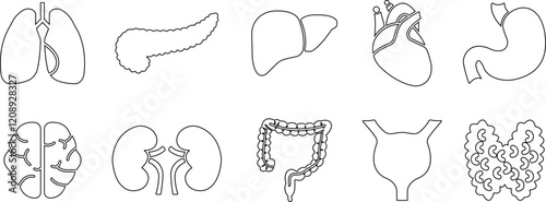 Human Organs Hand Drawn Line Icon Set Organs Vector for apps, web sign symbol heart, liver, stomach, kidney, urinary, eyeball, lung, neuron pictogram for human anatomy