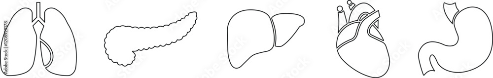 Human Organs Hand Drawn Line Icon Set Organs Vector for apps, web sign symbol heart, liver, stomach, kidney, urinary, eyeball, lung, neuron pictogram for human anatomy Human Organs Hand Drawn Line Icon Set Organs Vector for apps, web sign symbol heart, liver, stomach, kidney, urinary, eyeball, lung, neuron pictogram for human anatomy