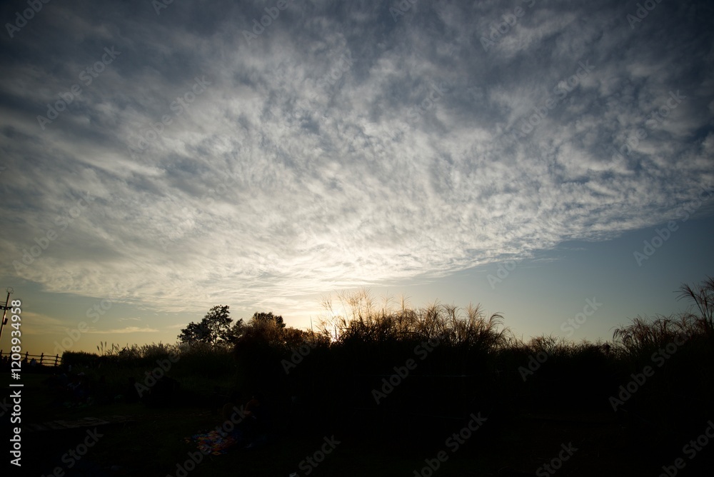 Obraz premium 노을이 지는 하늘에는 구름이 가득하고, 하늘 아래에는 억새 군락이 보이는 풍경
