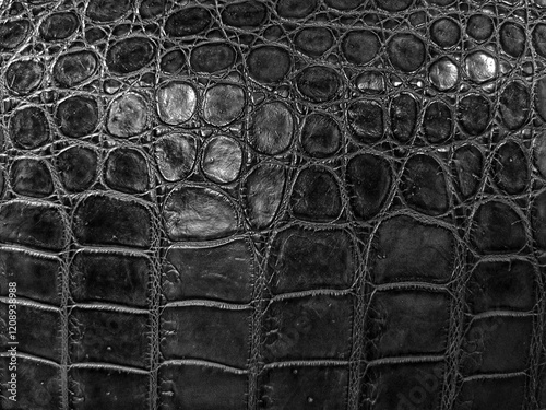 Crocodile leather texture, crocodile leather bag, black crocodile texture for decoration, leather background.