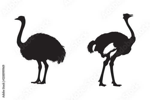 Ostriches silhouette and icon design