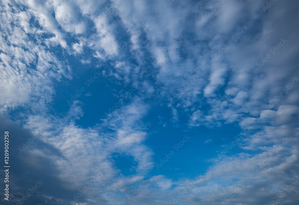 white clouds in the blue sky The sun shines through. .birds flying in the sky The wind that blows through.The clouds move and change shape with the force of the wind. .beautiful nature in the sky. white clouds in the blue sky The sun shines through. .birds flying in the sky The wind that blows through.The clouds move and change shape with the force of the wind. .beautiful nature in the sky.