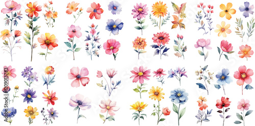 A Big watercolor floral package collection. Use by fabric, fashion, wedding invitation, template, poster, romance, greeting, spring, bouquet, pattern, decoration and textile.	
