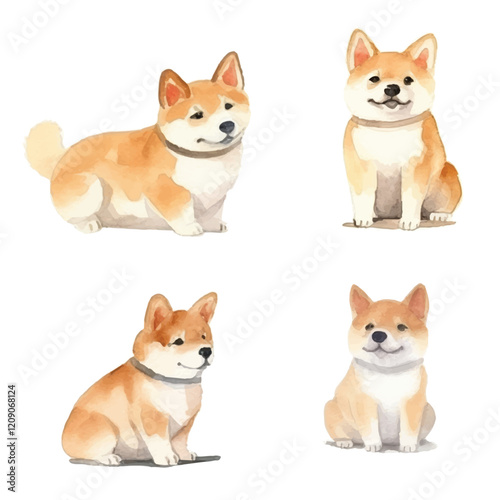 watercolors Cute shiba inu dog isolated illustration