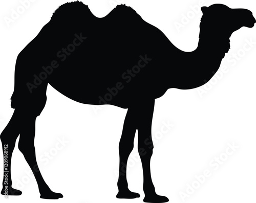 Camel silhouette vector, Black arabian camel silhouette, Camel icon vector illustration