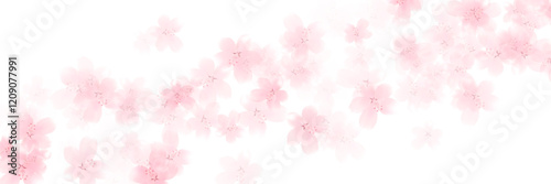 桜　和柄　水彩　背景