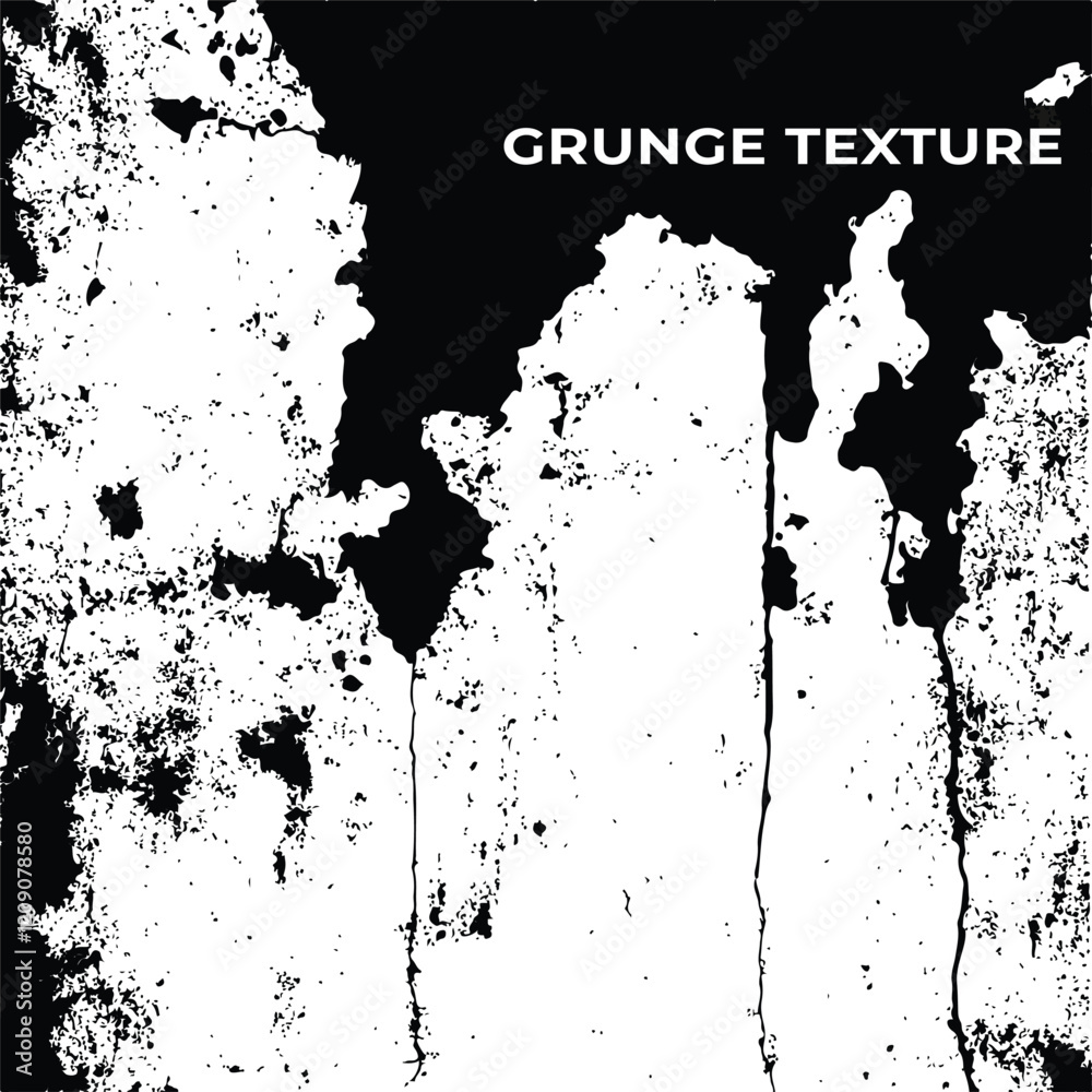 Fototapeta premium Black and White Abstract Grunge Texture background Vector