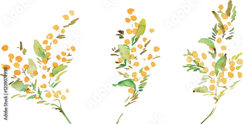 手描きのミモザイラスト。水彩タッチのミモザベクターイラスト。ミモザの春フレーム背景。Hand drawn mimosa illustration. Mimosa vector illustration with watercolor touch. Mimosa spring frame background.