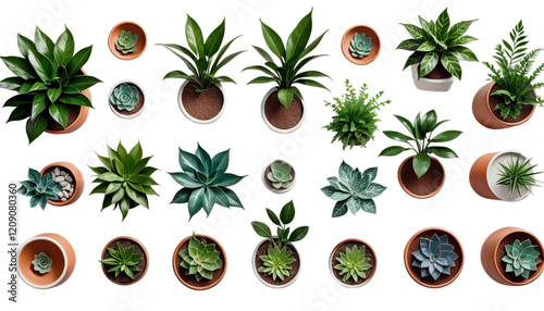 Obraz na płótnie pots ceramic background rendering 3d olated beautiful plants plant pot leaf tree flower nature isolated white transparent houseplant herb potted growth botany flowerpot green gardening w salonie