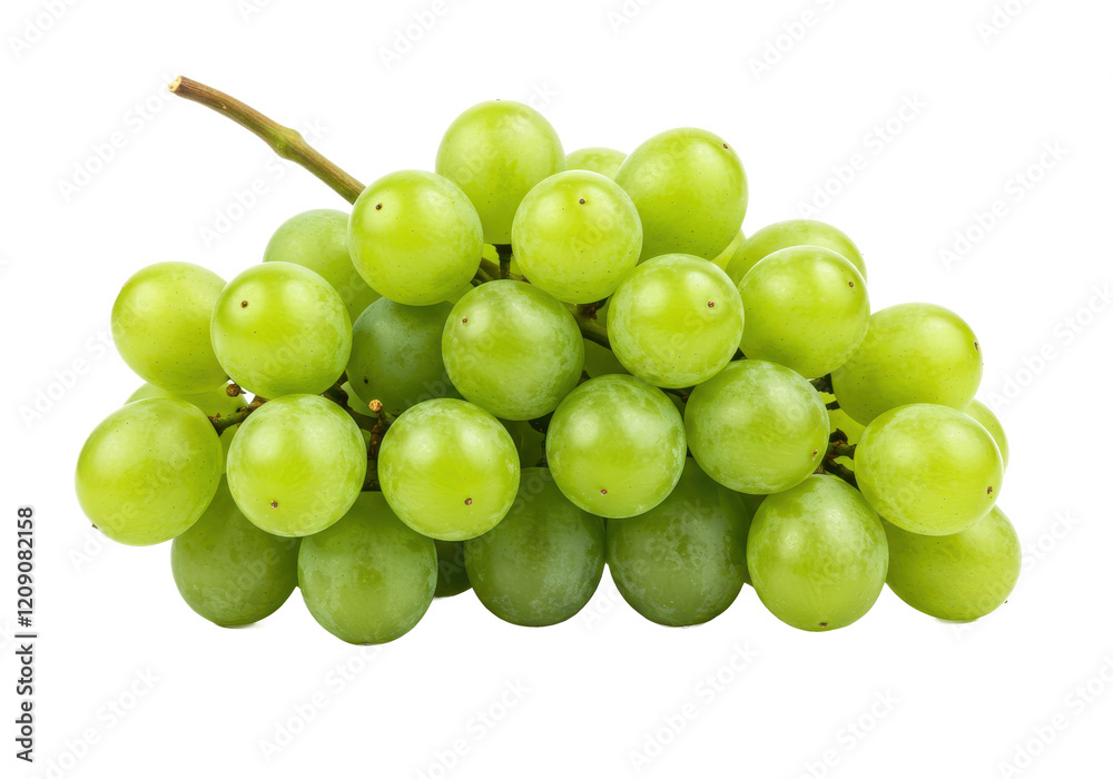 Cluster of fresh green grapes on a stem, isolated on white background