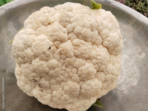 Fresh organic cauliflower with natural texture placed in a metal bowl, perfect for concepts related to healthy eating, agriculture, and culinary use. photo