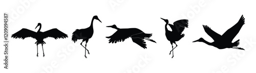 silhouette of a sandhill crane vector illustration