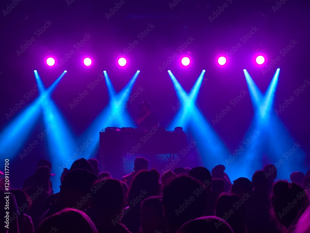 custom made wallpaper toronto digitalDJ on Stage with silhouette audience - 9