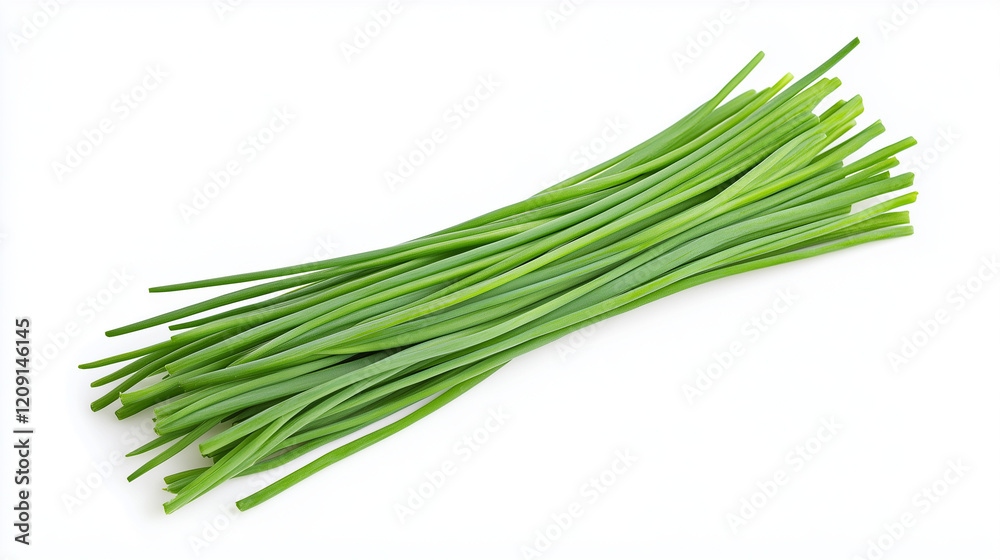 Fresh Chives: A bunch of fresh green chives, a popular culinary herb, arranged on a clean, minimalist backdrop, perfect for showcasing its vibrant color and delicate flavor. Fresh Chives: A bunch of fresh green chives, a popular culinary herb, arranged on a clean, minimalist backdrop, perfect for showcasing its vibrant color and delicate flavor.