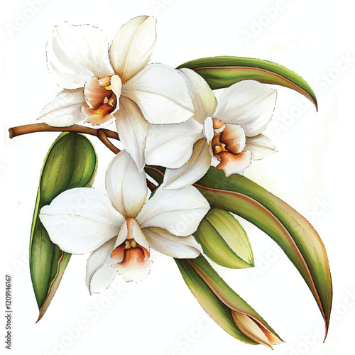 Watercolor Orchid white background