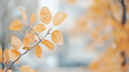 Golden Autumn Leaves: Delic...