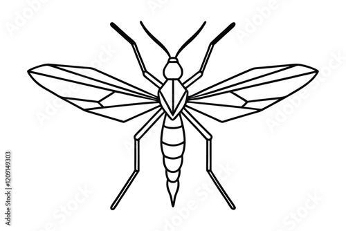 Crane Fly line art vector illustration.eps