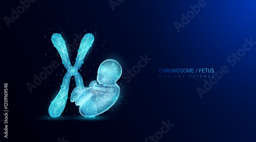 Gene chromosome and fetus. Genetic synthetic biology cell DNA. Anatomy organ polygonal blue glowing on dark background. For medical science work. Vector EPS10.