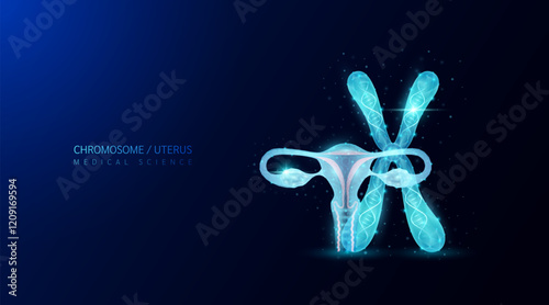 Gene chromosome and uterus. Genetic synthetic biology cell DNA. Anatomy organ polygonal blue glowing on dark background. For medical science work. Vector EPS10.