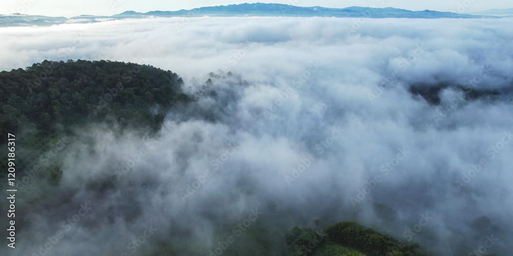 Obraz premium Aerial landscape view of the sea of fog flowing on hills by drone