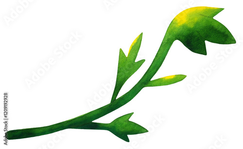 green leaf nature foliage plant tree branch floral ivy creeper vine forest botanical icon logo symbol sign art design illustration watercolor painting white isolated background decoration drawing
