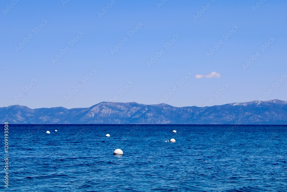 Fototapeta premium White bouys floating in the lake