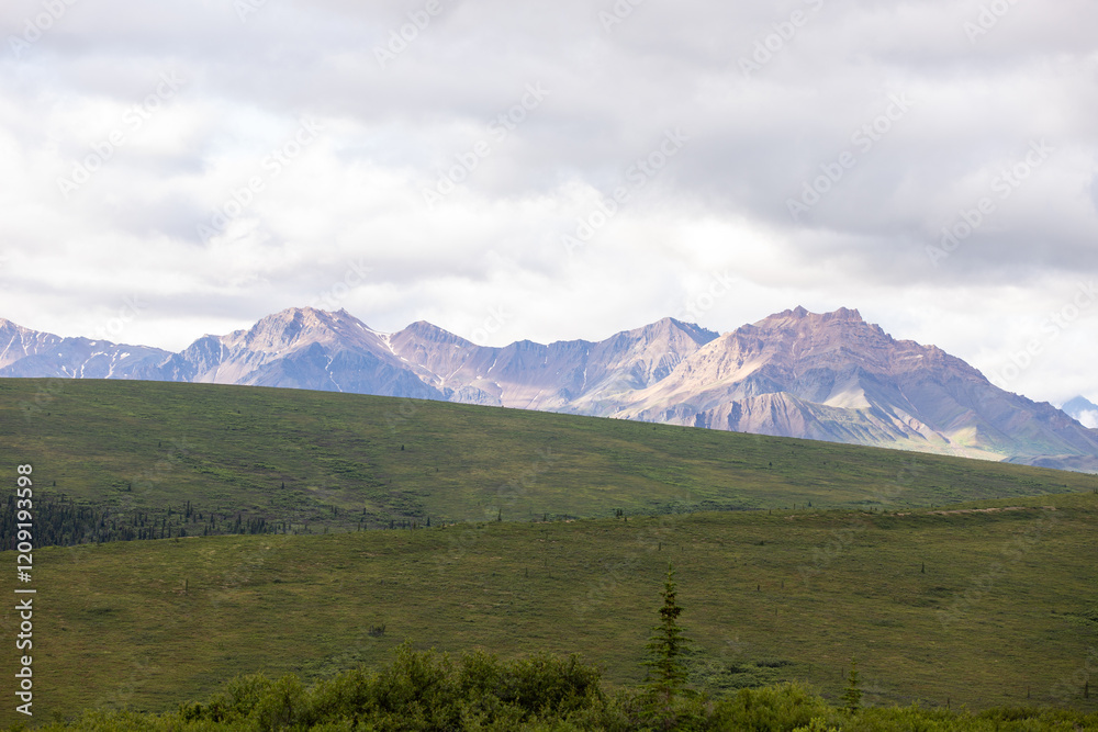 Naklejka premium Mountain landscape in Denali National Park