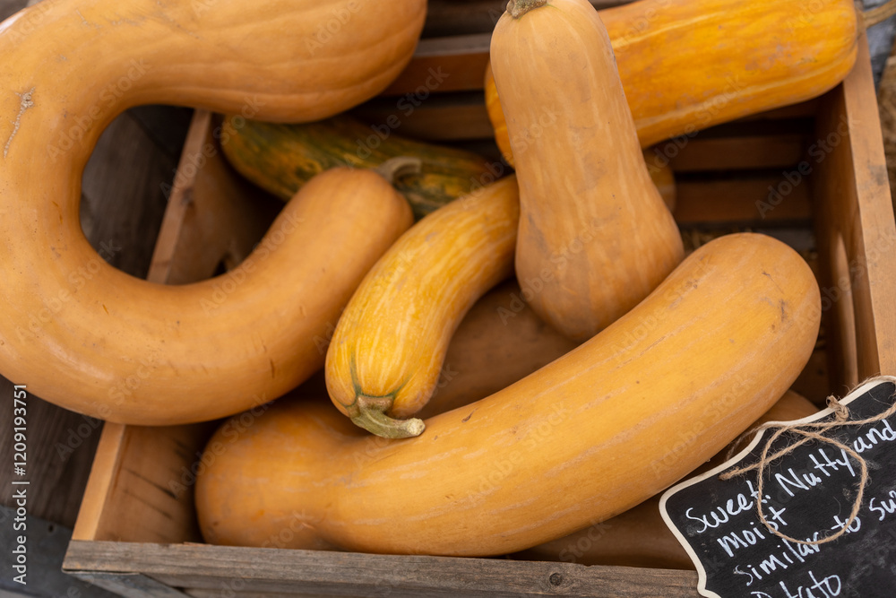 A wooden crate filled with tan squash, labeled as sweet and nutty A wooden crate filled with tan squash, labeled as sweet and nutty