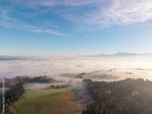 Foggy Neuenkirch Landscape