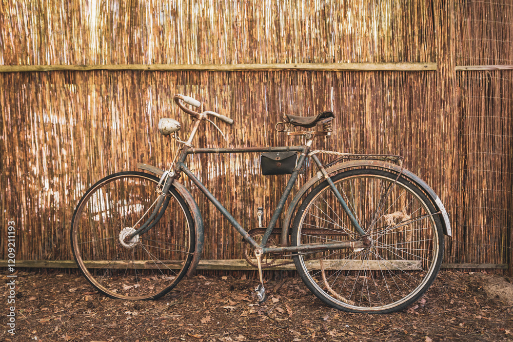 Fototapeta premium retro rower