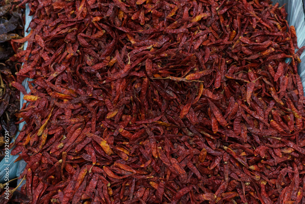 Fototapeta premium Tree chile on supermarket shelves.Variety of chili peppers on supermarket shelves in Mexico