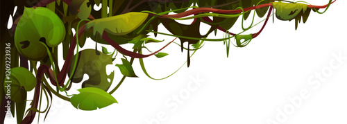 Liana vine border isolated on white. Vector cartoon illustration of jungle plants hanging on tree branches, green foliage frame for tropical adventure game landscape, exotic garden, floral banner