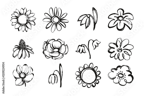 Grunge Flower Head Collection Isolated on White Background. Dry ink strokes of herb silhouettes. Brush dry painting of field plants photo