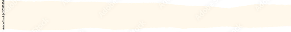 Paper scraps. Torn pieces of paper, with torn edges for notes, realistic torn pieces of blank note pages. Vector illustration isolated. Vector illustration Paper scraps. Torn pieces of paper, with torn edges for notes, realistic torn pieces of blank note pages. Vector illustration isolated. Vector illustration