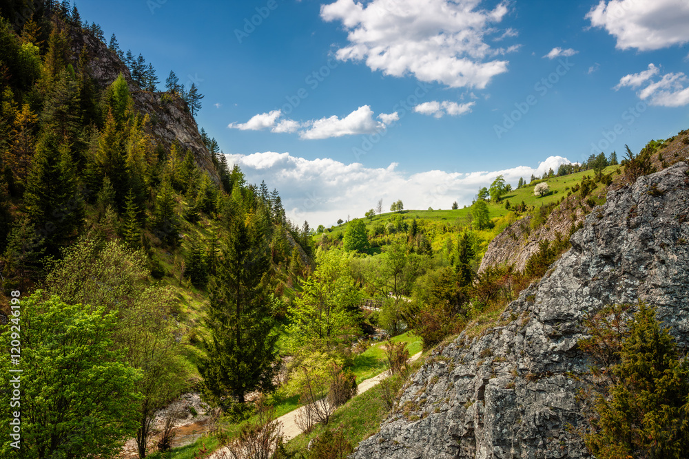 Pieniny. Rezerwat Biała Woda. Pieniny. Rezerwat Biała Woda.