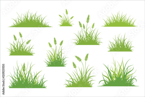 Grass Vector Illustration, Nature, Green, Lawn, Plant, Blade, Meadow, Landscape, Field, Turf, Garden, Pasture, Outdoor, Spring, Summer, Grassland, Eco, Environment, Foliage, Leaf, Flora, Natural, Gr