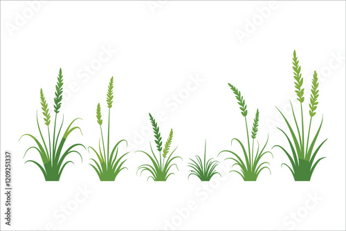 Grass Vector Illustration, Nature, Green, Lawn, Plant, Blade, Meadow, Landscape, Field, Turf, Garden, Pasture, Outdoor, Spring, Summer, Grassland, Eco, Environment, Foliage, Leaf, Flora, Natural, Gr