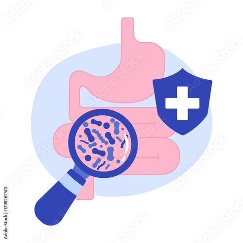The human stomach and intestines are under a magnifying glass with beneficial probiotic bacteria.